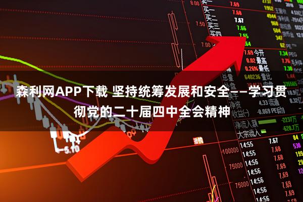 森利网APP下载 坚持统筹发展和安全——学习贯彻党的二十届四中全会精神