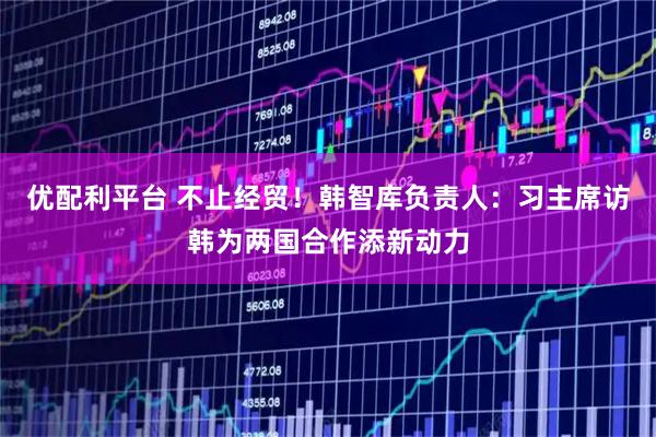 优配利平台 不止经贸！韩智库负责人：习主席访韩为两国合作添新动力