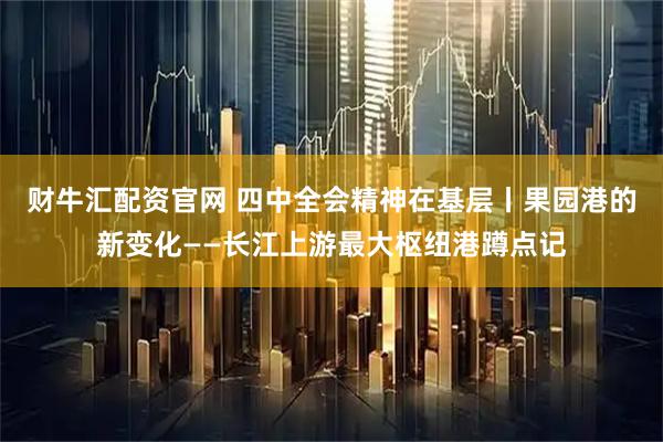 财牛汇配资官网 四中全会精神在基层丨果园港的新变化——长江上游最大枢纽港蹲点记