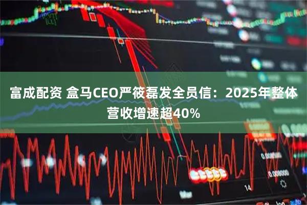 富成配资 盒马CEO严筱磊发全员信：2025年整体营收增速超40%