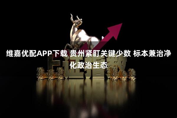 维嘉优配APP下载 贵州紧盯关键少数 标本兼治净化政治生态