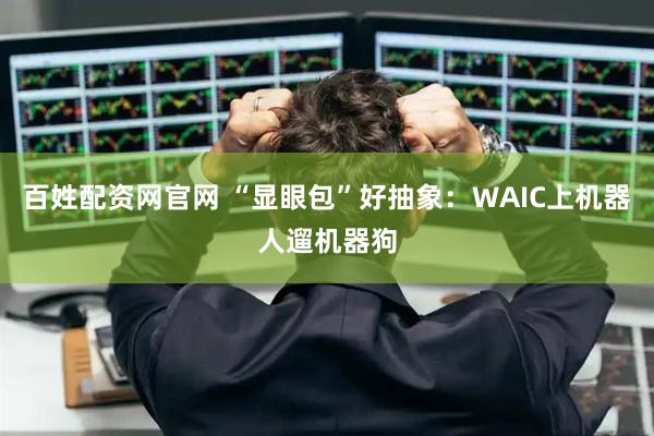 百姓配资网官网 “显眼包”好抽象：WAIC上机器人遛机器狗